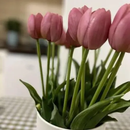 Appartamento A4 Parliament Sunflower Cozy