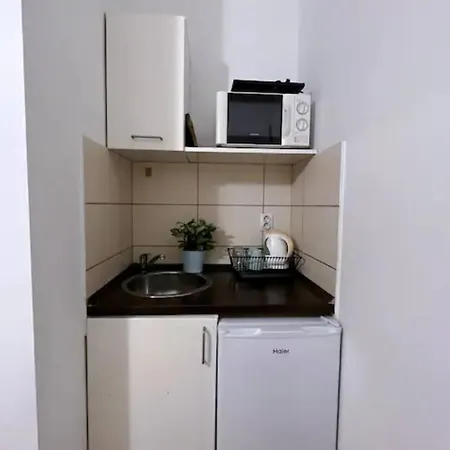 A4 Parliament Sunflower Cozy