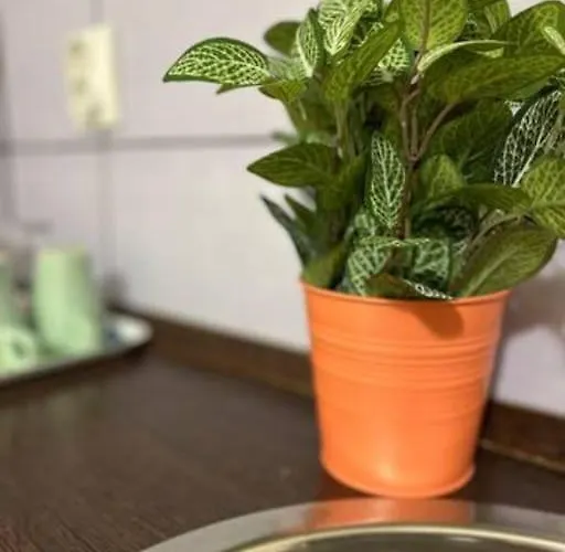 Apartment A4 Parliament Sunflower Cozy Budapest