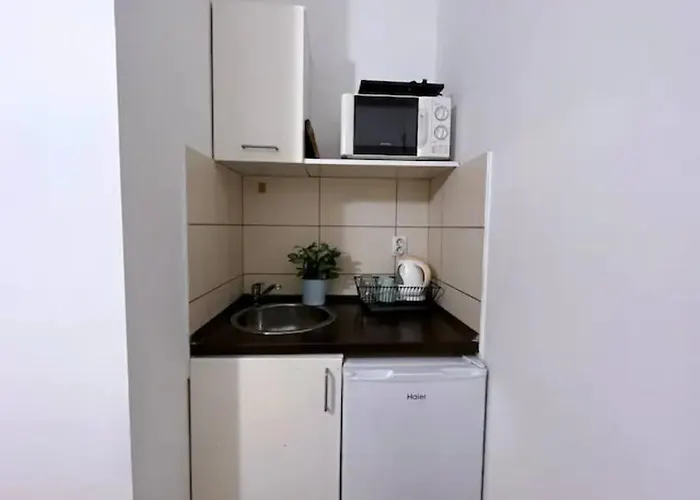 A4 Parliament Sunflower Cozy